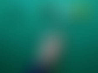 DECOP realiza campeonato interno de Regra Brasileira