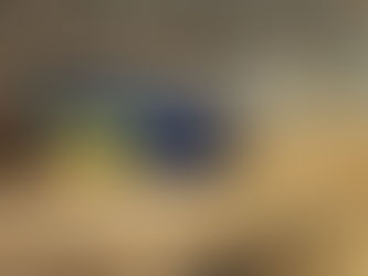 100 Acre Wood Rally – March 13-14, 2026