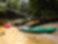 DSCN4585.JPG