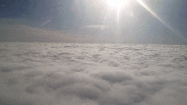 B0859F43-695A-42ED-8002-972EE7572DE5.gif