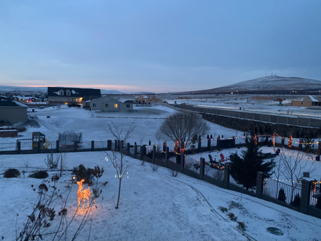 Unexpected February Freeze