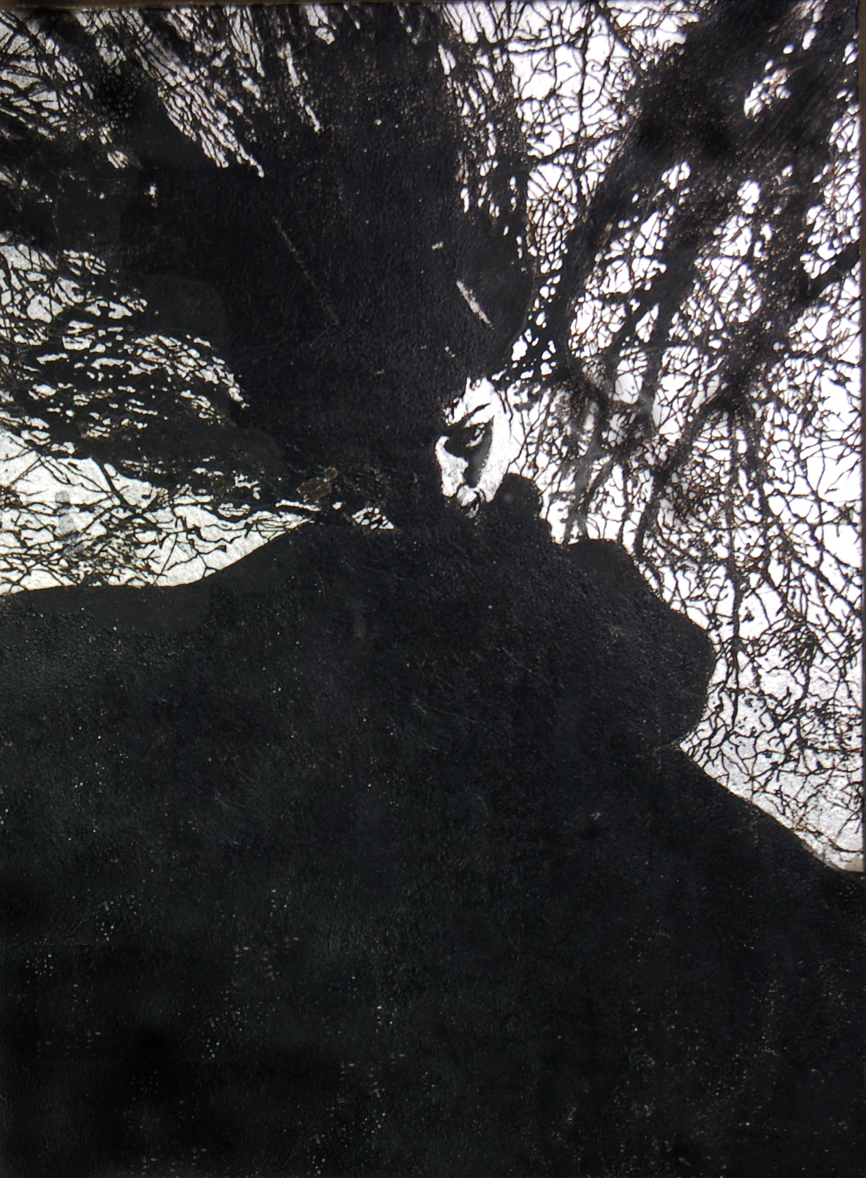 Tree II (winter witch)