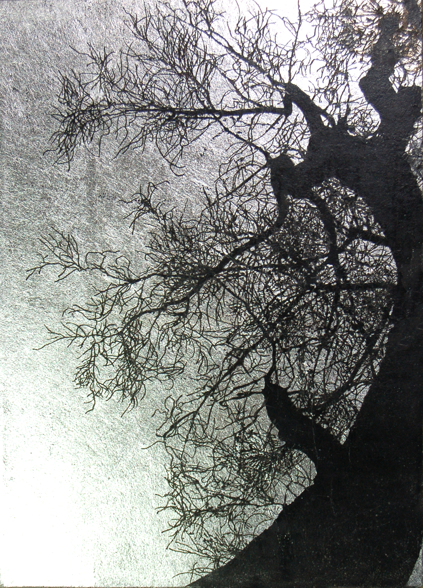 Tree I