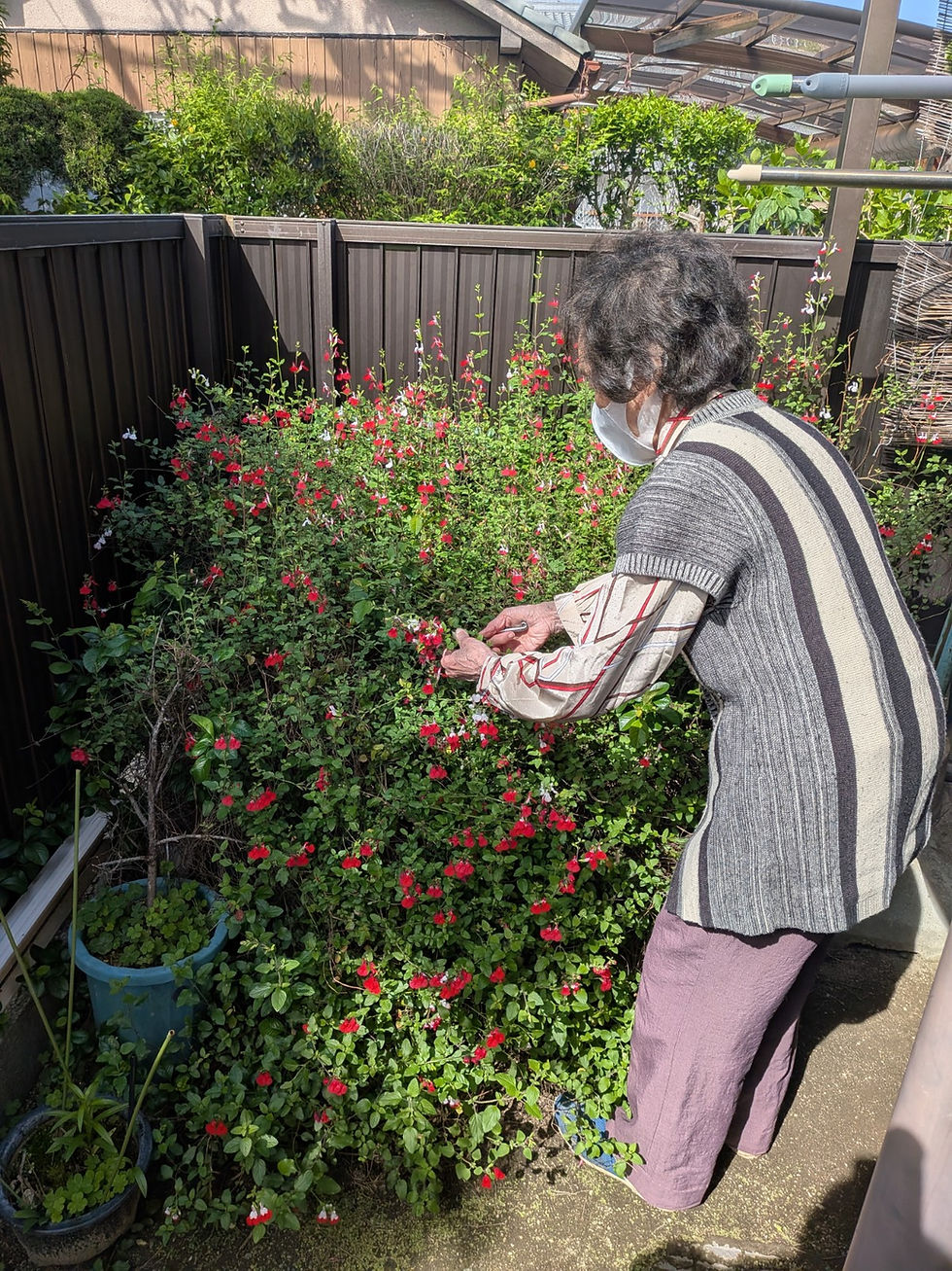 【訪問看護】庭のお花で盛り上がる:咲くや看護