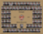 PT-active-composite-2018.jpg