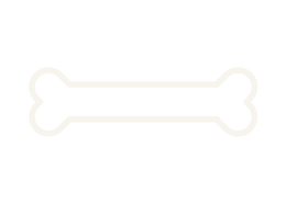 bone_edited.png
