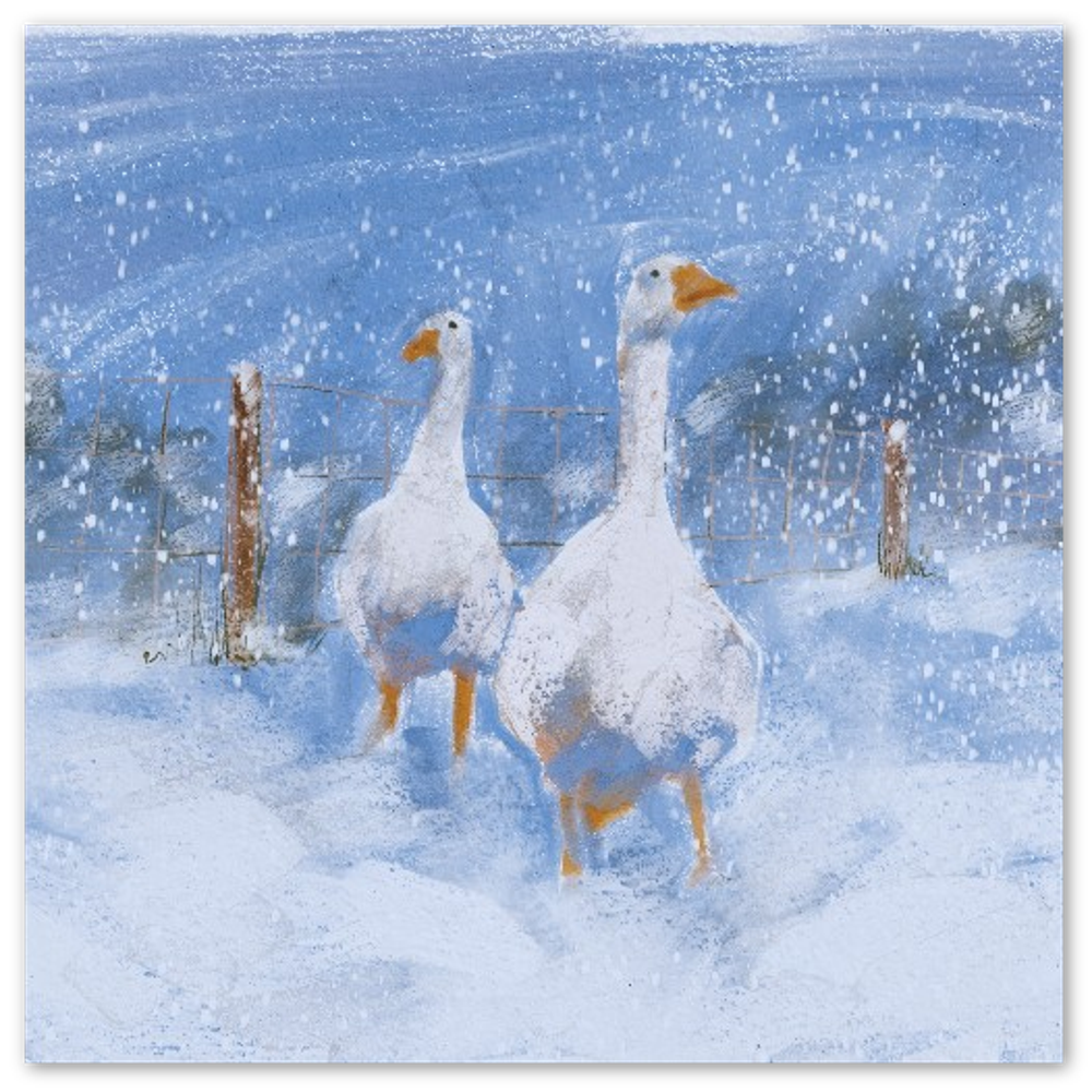 'Winter Geese' Pack of 10 Greeting Cards