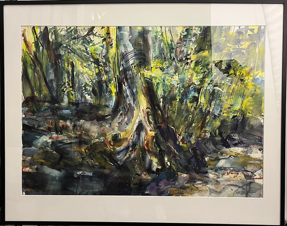 1006 - dark tree in woods