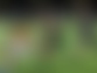 Anthem Pathway Classic Rugby Showcase