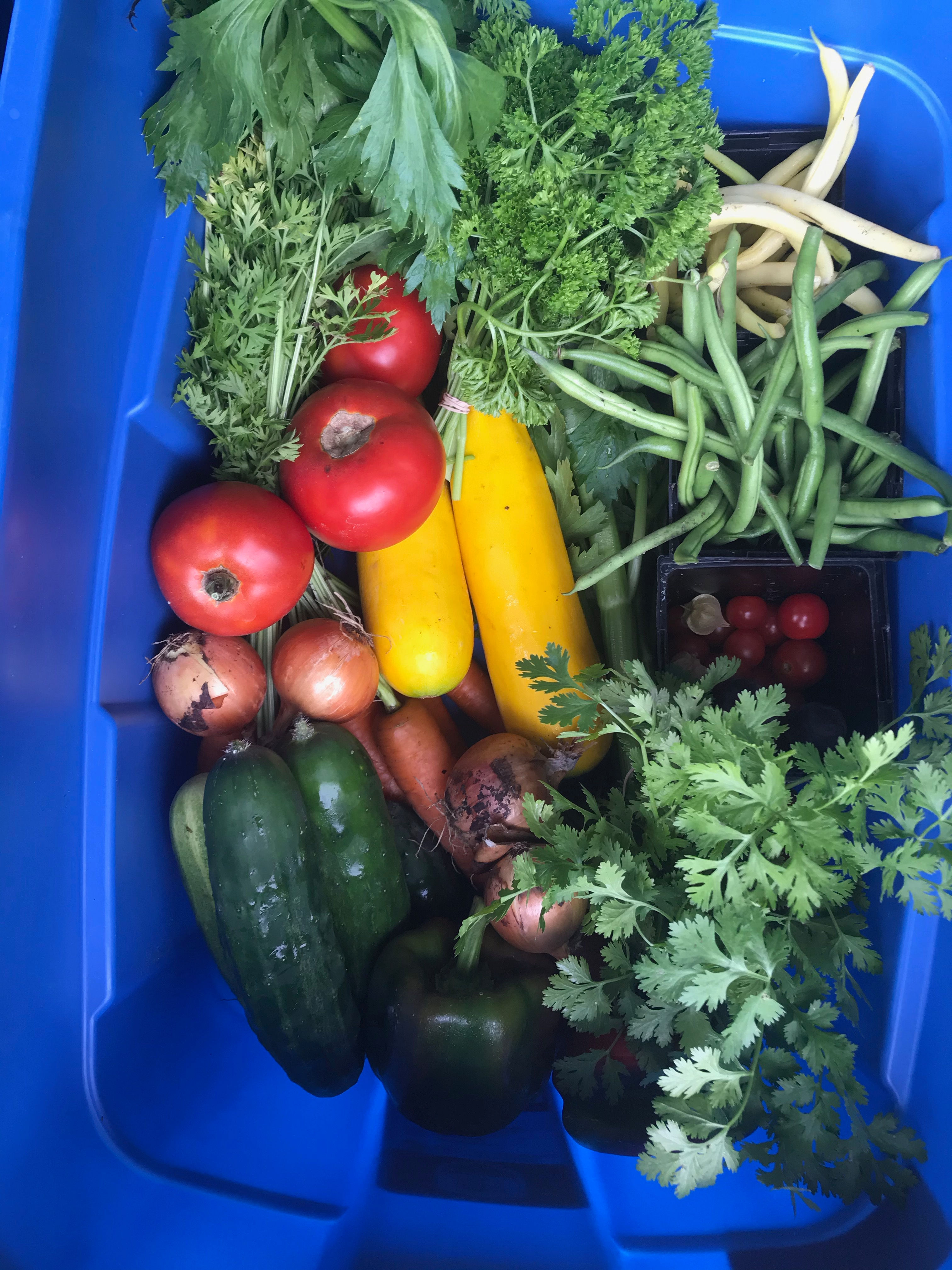 CSA Grocery Fall Share - Vegetable Basket