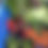Thumbnail: Grocery Full Share Basket - 16 weeks
