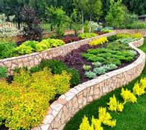 plant installation & removal.jpg