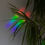 Miniaturbild: Best Day Ever Rainbow Sticker
