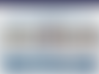 2025 Candidate Guide