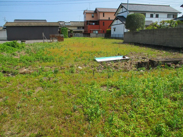 08031-02.jpg
