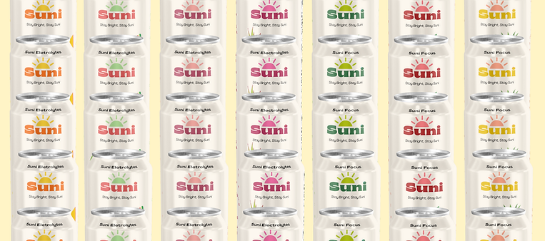 Copy of Suni.pdf.png