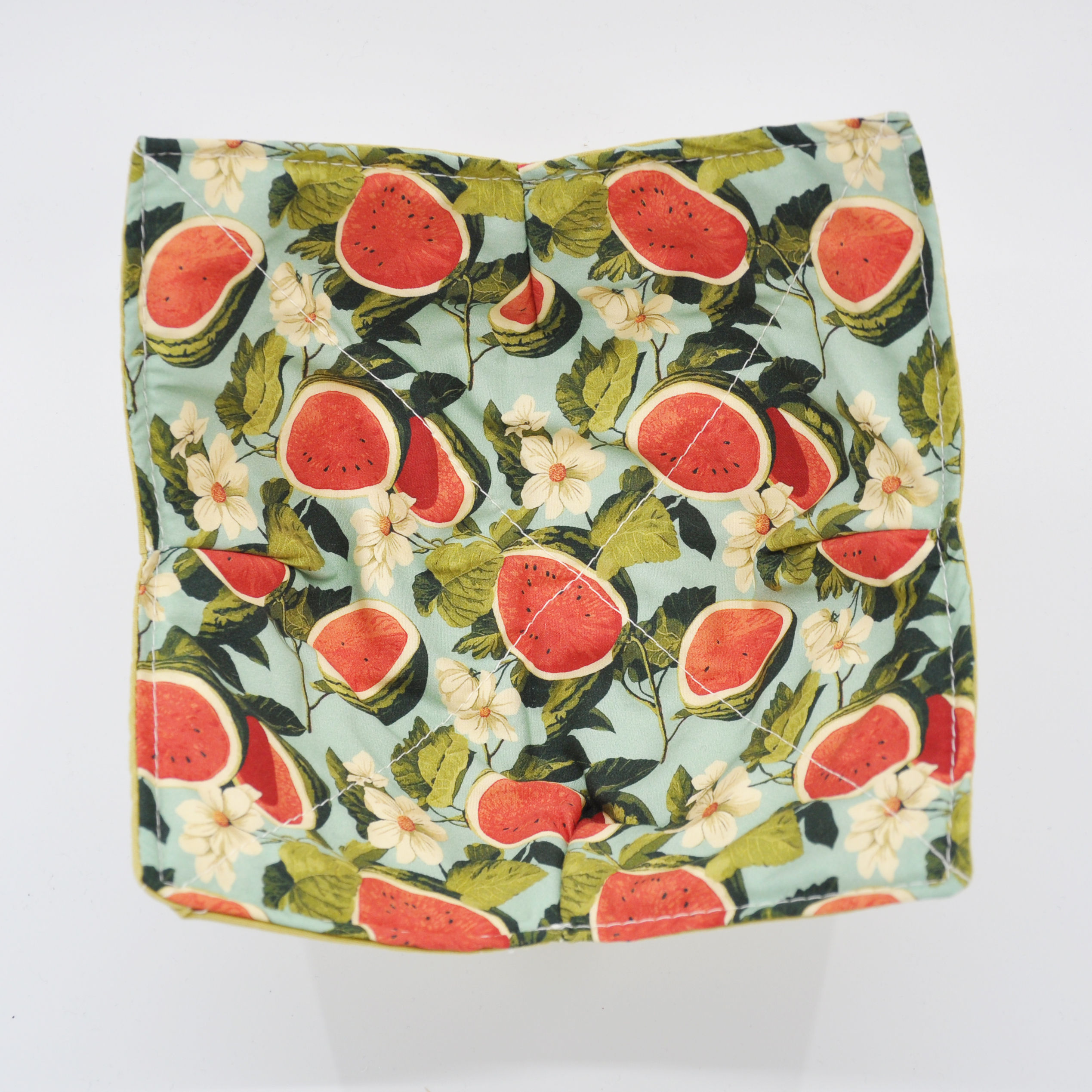 Watermelon Microwave Cozy