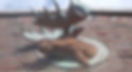 07-Moose%2520Head_edited_edited.jpg