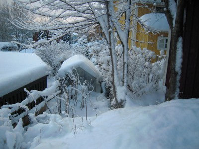 Bilder från årsskiftet 2009 – 2010