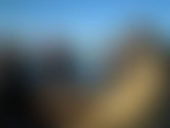 Varvsforum år 2019 skall arrangeras av Landskrona -föreningen