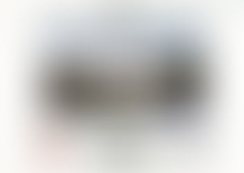 ABF Fotoklubbs almanacka, 30 år