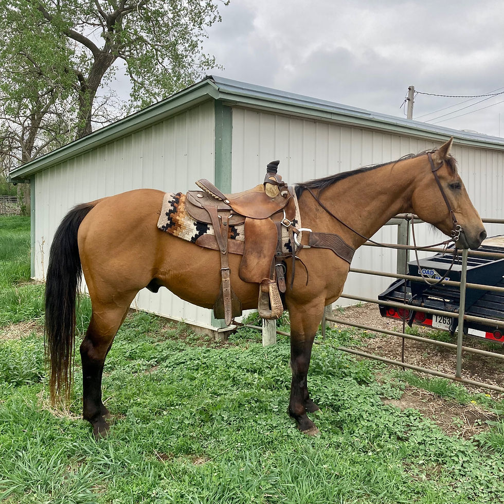 Thumbnail: “BULLET”