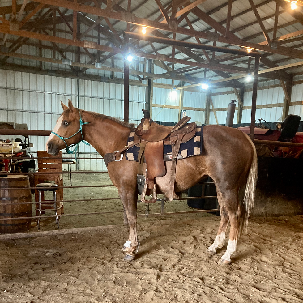 Thumbnail: “COPPER”