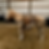 Thumbnail: “BREYER”
