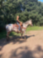 Thumbnail: “APPLEJACKS”