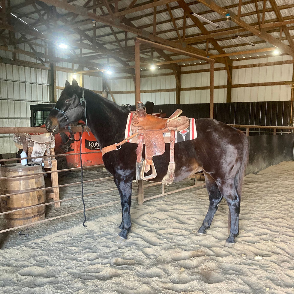 Thumbnail: ❄️BLACKJACK❄️