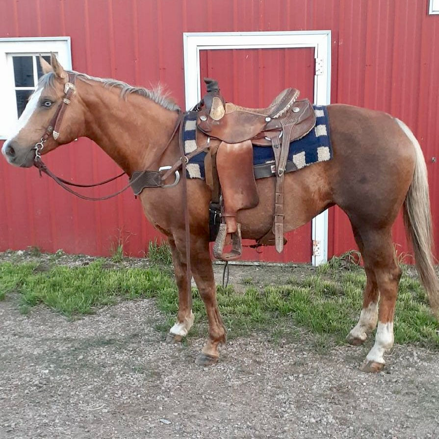 Thumbnail: “COPPER”