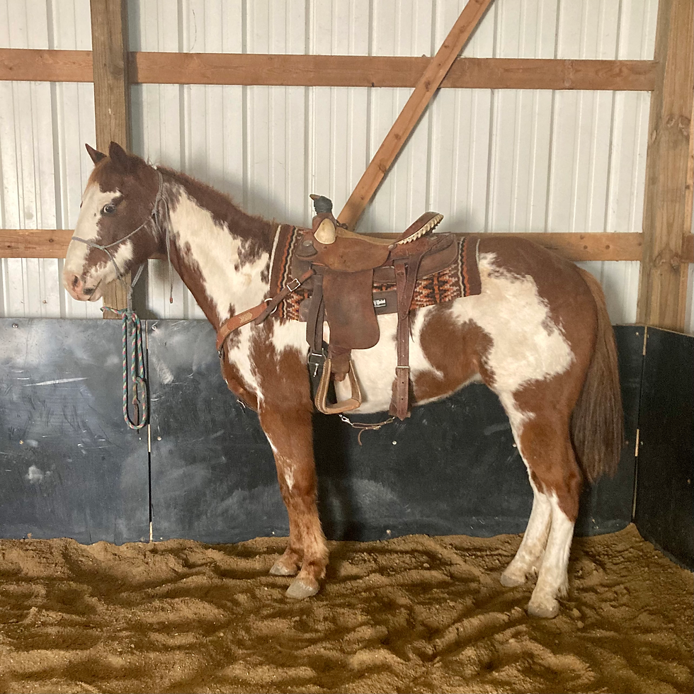 Thumbnail: “HIDALGO”