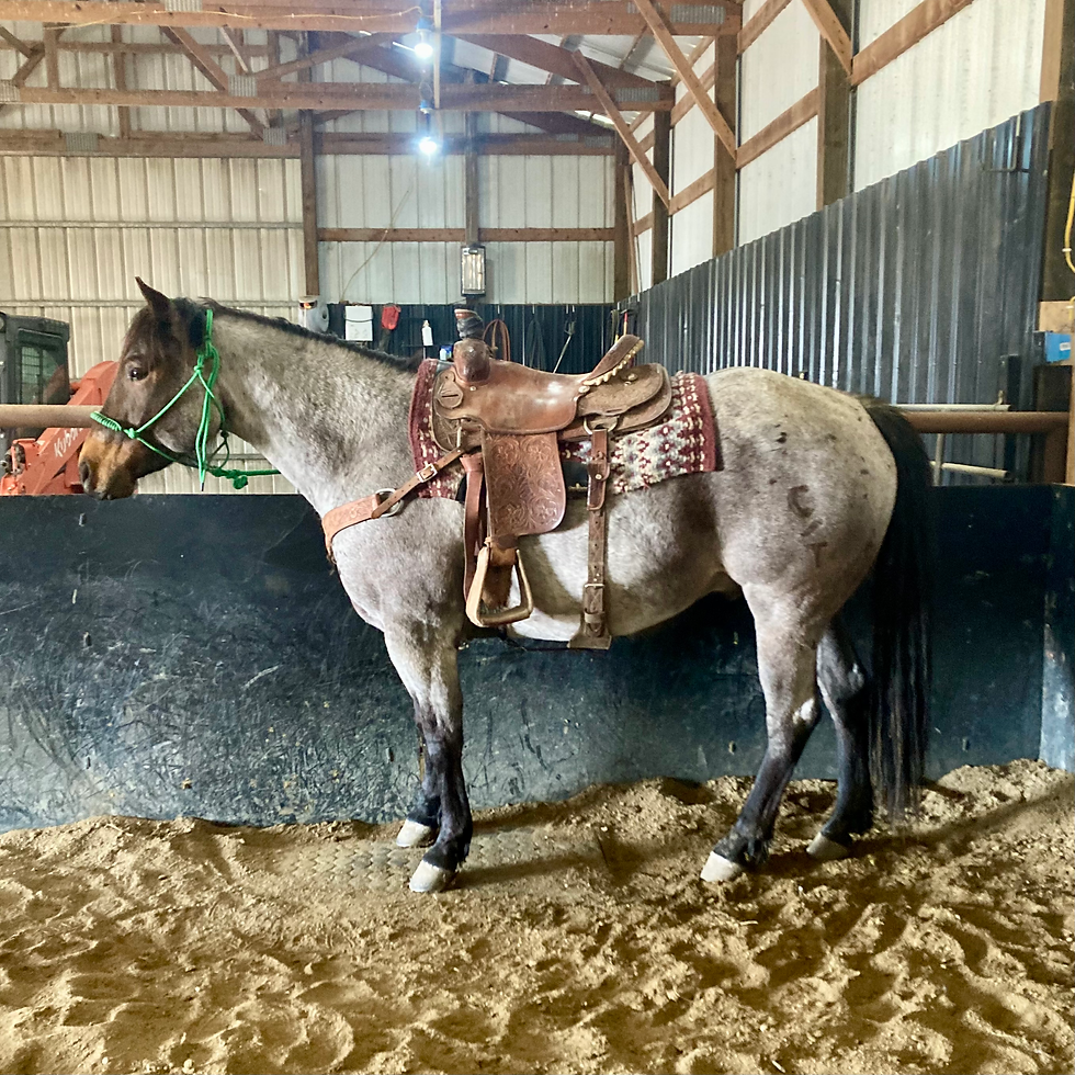 Thumbnail: “SMOOTH MINT”