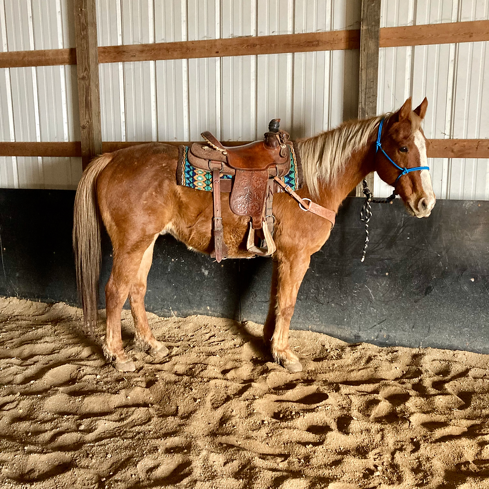 Thumbnail: 🤎MUSTACHE🤎