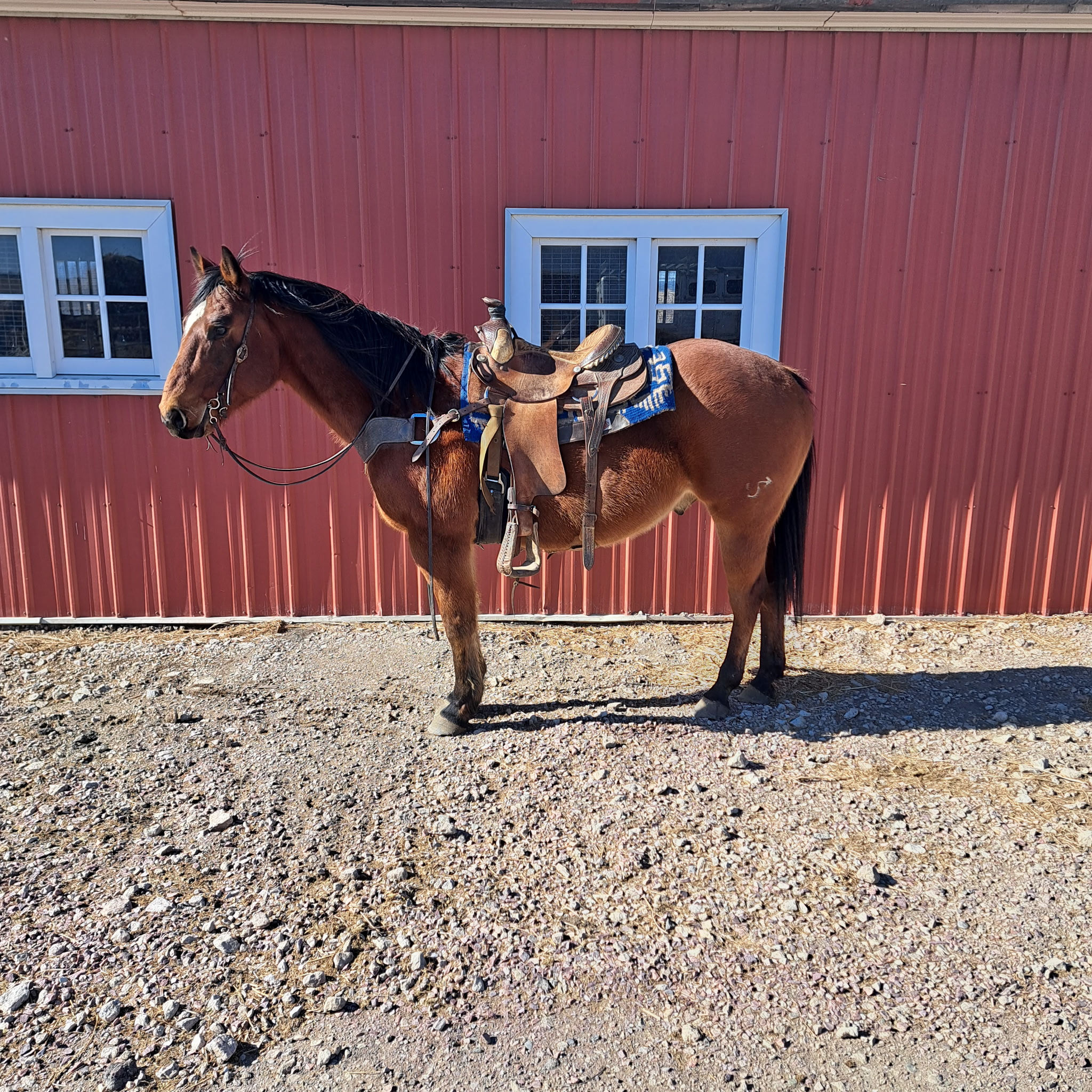 ❄️CHARLIE BROWN❄️