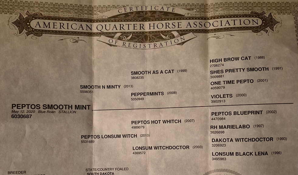 Thumbnail: “SMOOTH MINT”