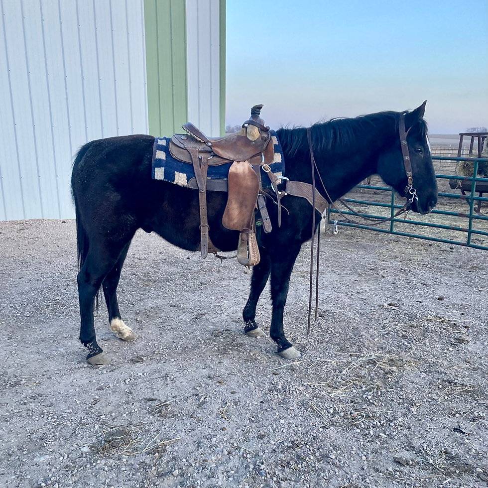 Thumbnail: “BLACKJACK”