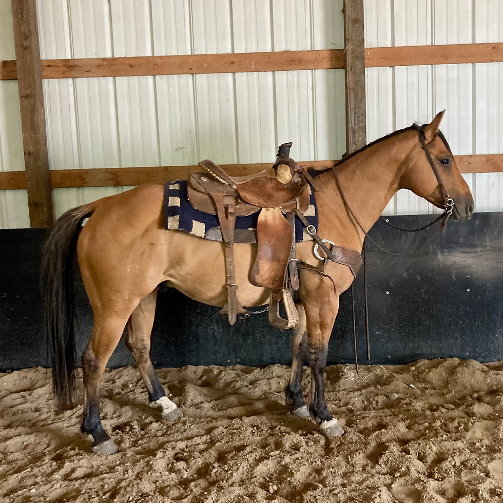 Thumbnail: “Gus”