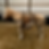 Thumbnail: “BREYER”