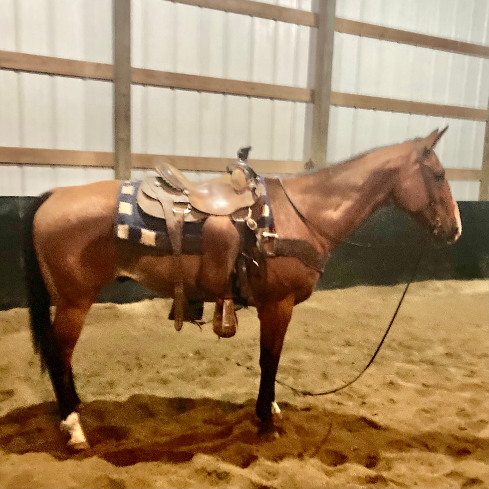 Thumbnail: “SHOOTER”