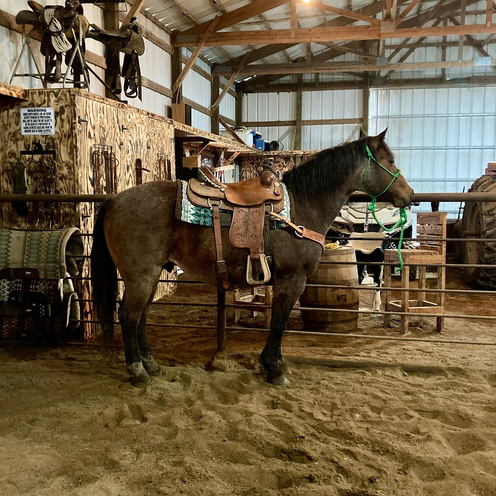 Thumbnail: “BONANZA”