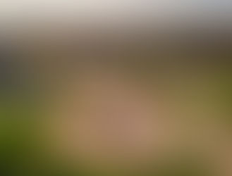 rental property trends in Ajax, Ajax rental property trends, rental property trends in Ontario, Ajax real estate, realtors in Ajax