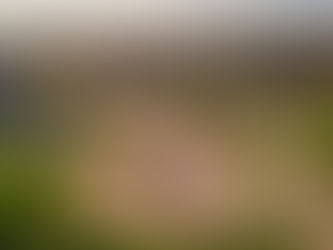 rental property trends in Ajax, Ajax rental property trends, rental property trends in Ontario, Ajax real estate, realtors in Ajax