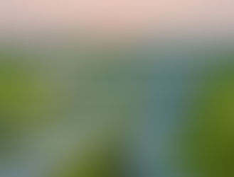 luxury real estate trends, real estate trends in Oakville, Oakville real estate trends, Oakville real estate, realtors in Oakville