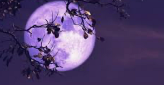 Screenshot 2026-04-27 at 10.51.34 AM.png