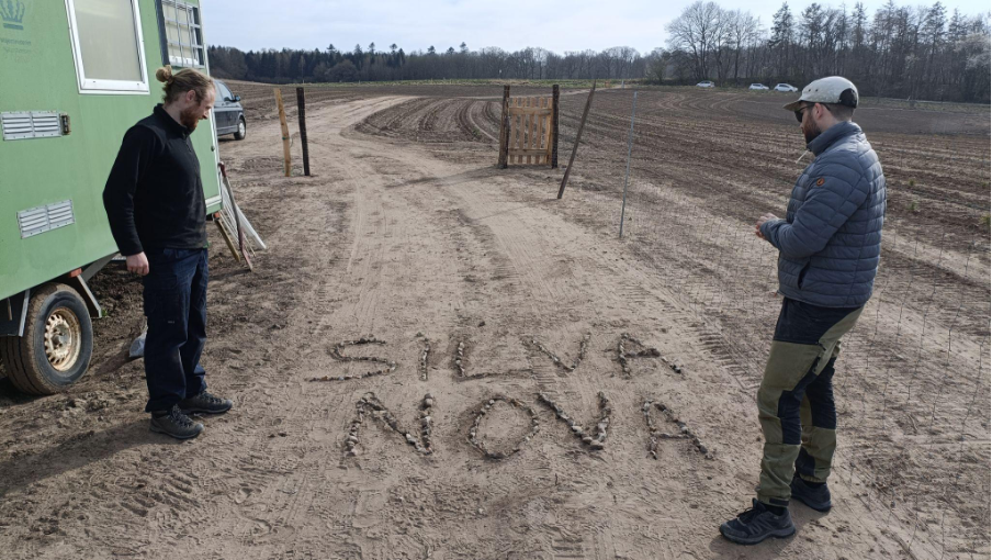 Colleagues cement the name of the project- ‘Silva Nova’ in the ground. Silva Nova literally means- ‘New Forest’ in Latin. A very pretty name.