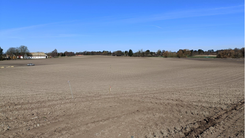 Field has been ploughed and marks are created, ready to plant the trees.