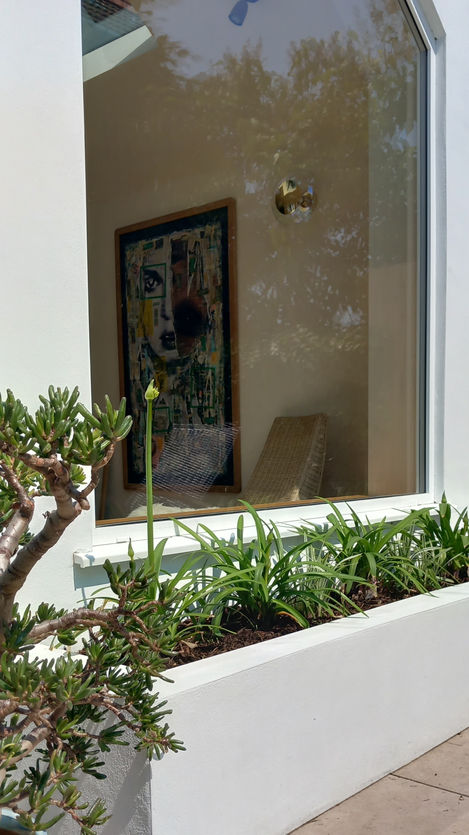 Close-up of planter in front of apex window with glimpse of interior dining area and rattan chairs