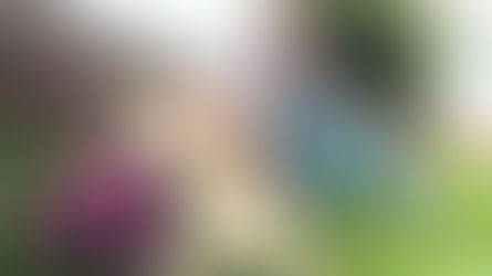 “Levo na consciência o peso de cada um dos 7 mil cachorros que matei”