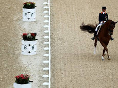 Amazona holandesa desiste de competir para poupar cavalo